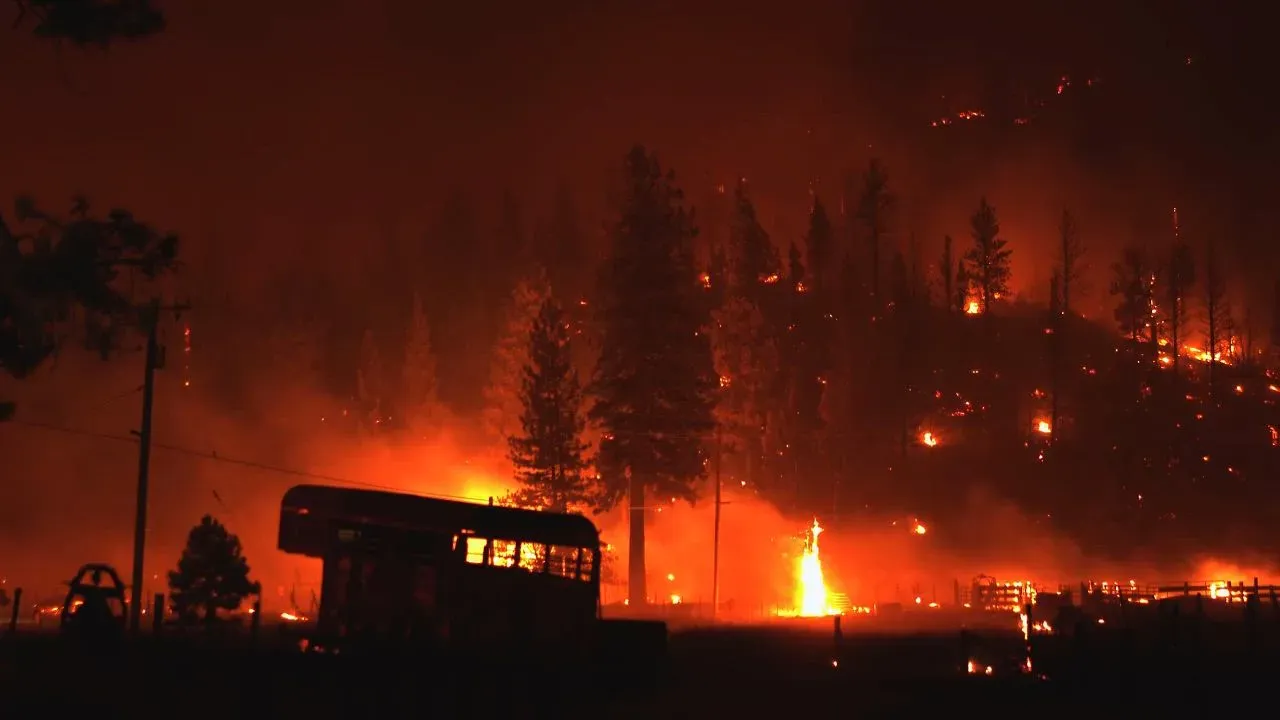 A forest wildfire blazes intensely at night, with trees silhouetted against the bright flames and orange glow. A silhouette of a vehicle is in the foreground, conveying urgency and danger.